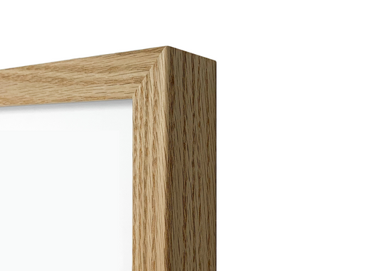 Washington DC Medal, Race Map & Bib Display Frame - Official (coming soon)